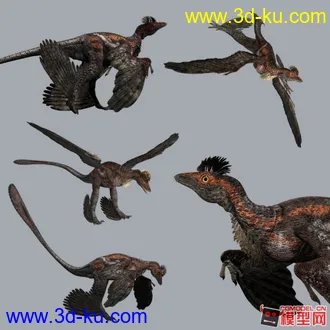 3D打印模型小盗龙.的图片