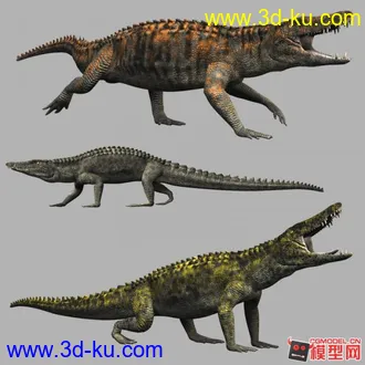 3D打印模型鄂龙的图片