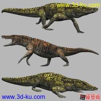 3D打印模型鄂龙的图片
