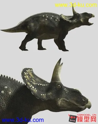 3D打印模型双角龙的图片