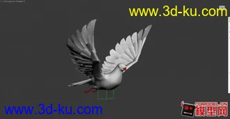 3D打印模型MAX的鸽子。绑定+动画。的图片