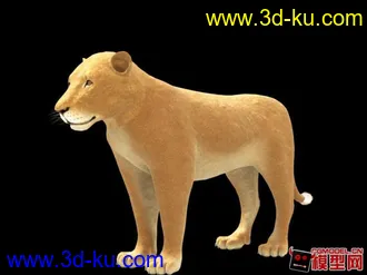 3D打印模型狮子的图片