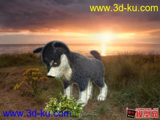 3D打印模型写实——阿拉斯加宝宝的图片
