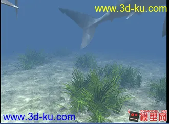 3D打印模型海底鲨鱼场景--分享的图片