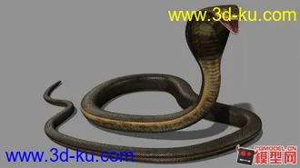 3D打印模型蛇的图片