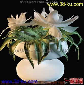 3D打印模型装饰品的图片