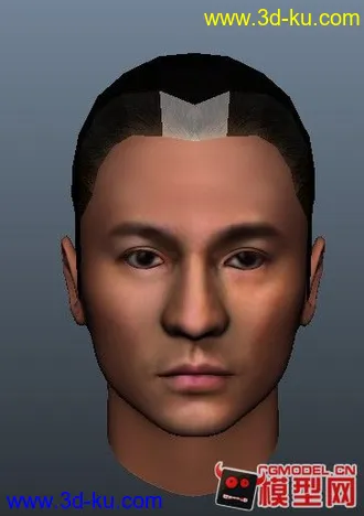 3D打印模型刘德华头部建模一枚的图片