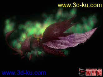 甲蟲模型的图片