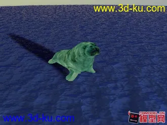 海象模型的图片