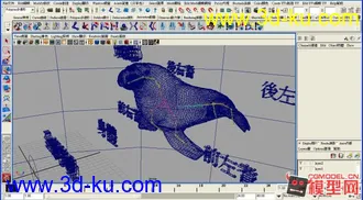 海象模型的图片