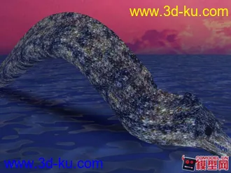 海鰻模型的图片