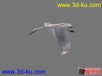3D打印模型白路的图片