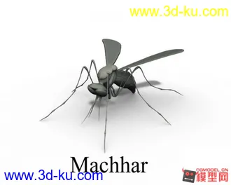 3D打印模型大恐龙骨骼绑定 蚊子骨骼绑定的图片