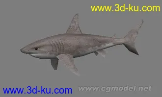 3D打印模型游戏鲨鱼一条的图片
