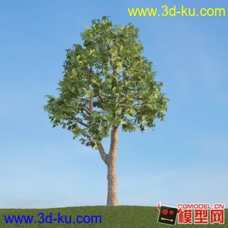 3D打印模型两棵树的图片