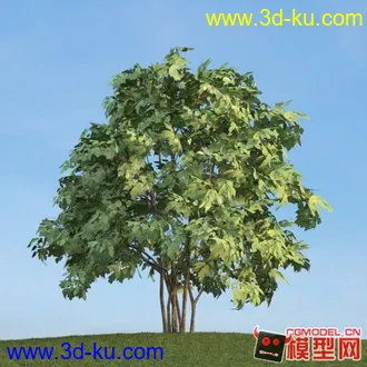 3D打印模型两棵树的图片