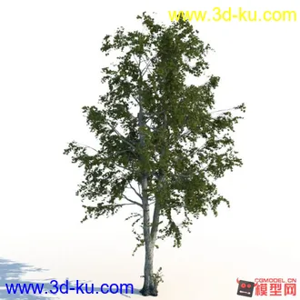 3D打印模型好看的树木2棵的图片