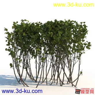 3D打印模型常用灌木的图片