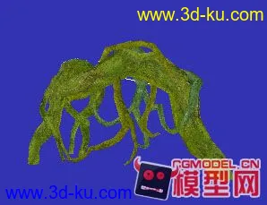 DN模型－大树根的图片