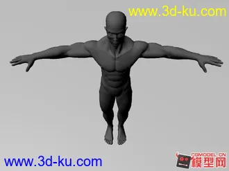 3D打印模型肌肉男的图片
