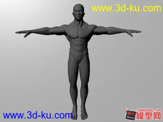 3D打印模型肌肉男的图片