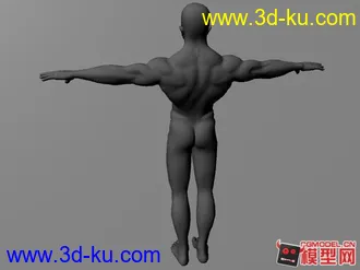 3D打印模型肌肉男的图片
