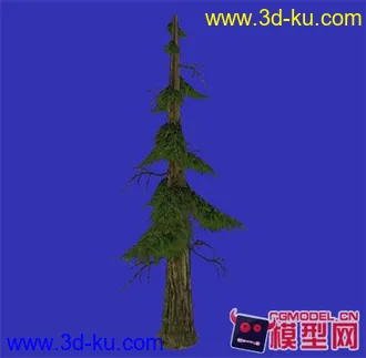 DN模型-树01的图片