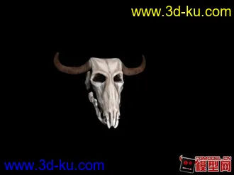 3D打印模型公牛头骨的图片