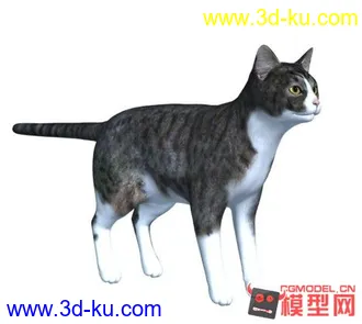 3D打印模型写实的黑猫的图片