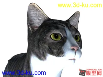 3D打印模型写实的黑猫的图片