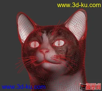 3D打印模型写实的黑猫的图片