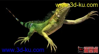 3D打印模型爬行动物，蜥蜴的图片