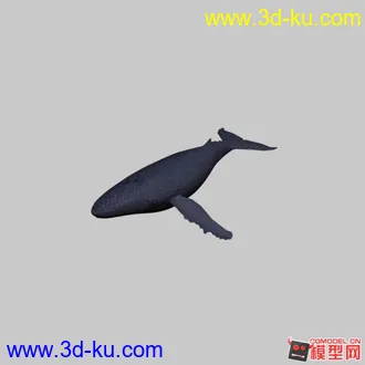 3D打印模型鲸鱼的图片