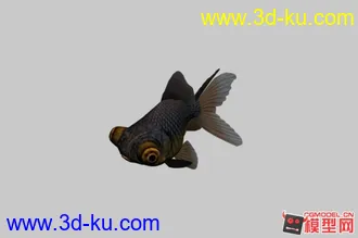 3D打印模型金鱼的图片