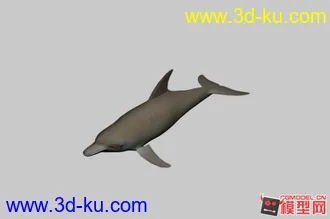 3D打印模型海豚的图片