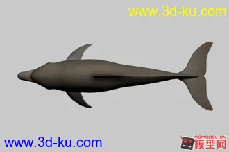 3D打印模型海豚的图片