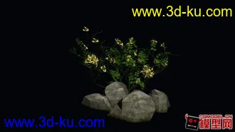 金银花模型的图片
