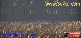 一套很漂亮的枯草模型的图片