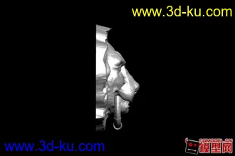 3D打印模型狮子门环的图片