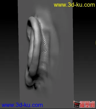 3D打印模型耳朵写实雕刻的图片