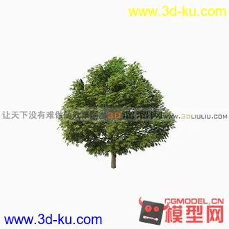 3D打印模型可以看看哦的图片