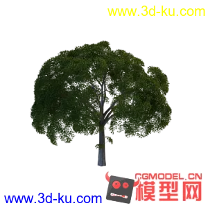 发的都是精品树。。数字名称为模型面数   只要一个压缩包  精品啊    需要的可优惠购的图片