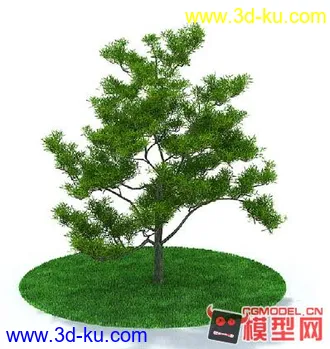 又是精品模型树啊赶紧下载收藏吧  大量需要的可联系我的图片