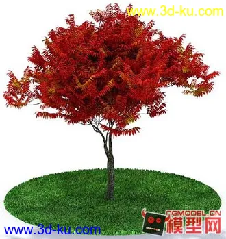 3D打印模型又是一颗好树、赶紧下载收藏吧 有贴图的图片