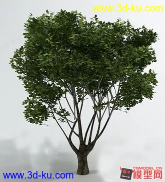 3D打印模型上次没发上去 这次 从新发的图片