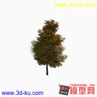 3D打印模型又是一颗好树的图片