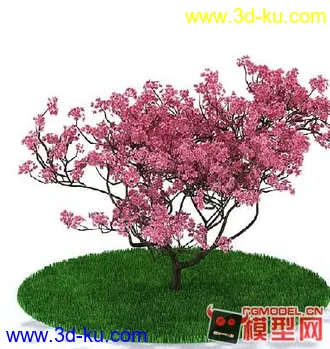3D打印模型好树啊的图片