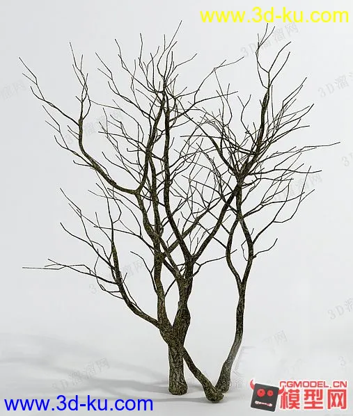 精品树啊模型的图片2