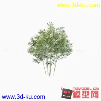 3D打印模型需要竹子的朋友可以看看的图片