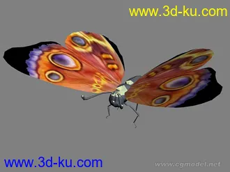 3D打印模型蝴蝶一只的图片